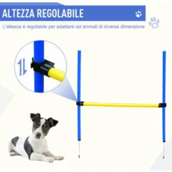 PawHut Set Agility Dog Per Addestramento Cani Con Slalom, Tunnel E Ostacolo -Cibi per cani in Italia 28384675 5