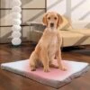 Tappetino Cuccia Letto Lettino Riscaldante 18w 58x43 Cm Per Animali Cani E Gatti -Cibi per cani in Italia 28559399 1