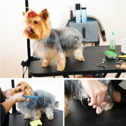 Yaheetech Tavolo Da Toelettatura Cani Tosatura Per Cani Gatti Animali Pieghevole Con Laccio Portata 100 Kg Nero -Cibi per cani in Italia 28710542 5