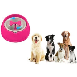 Ciotola Anti Soffocamento Per Cani Aiuta La Digestione Alimentazione Lenta Gatti -Cibi per cani in Italia 30830646 3