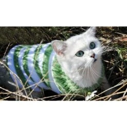 Maglione Per Animali Domestici - Abbigliamento Per Cani E Gatti Abbigliamento Per Cani Di Piccola Taglia E Gatti (Verde M) 11 Maglione Per Animali Domestici - Abbigliamento Per Cani E Gatti Abbigliamento Per Cani Di Piccola Taglia E Gatti (Verde M) -Cibi per cani in Italia 30853749 5