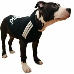 Sweat à Capuche Sport Per Cane / Gatto Dalla Taglia S Alla 9XL 7 Colori-nero-4XL 10 Sweat à Capuche Sport Per Cane / Gatto Dalla Taglia S Alla 9XL 7 Colori-nero-4XL -Cibi per cani in Italia 30854553 4