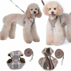 LITZEE Pettorina E Guinzagli Per Cani Di Piccola Taglia -Cibi per cani in Italia 30854560 4