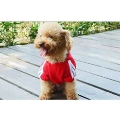 Sweat à Capuche Sport Per Cane / Gatto Dalla Taglia S Alla 9XL 7 Colori Rosso M. -Cibi per cani in Italia 30854587 4