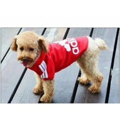 Sweat à Capuche Sport Per Cane / Gatto Dalla Taglia S Alla 9XL 7 Colori Rosso S. 10 Sweat à Capuche Sport Per Cane / Gatto Dalla Taglia S Alla 9XL 7 Colori Rosso S. -Cibi per cani in Italia 30854589 4