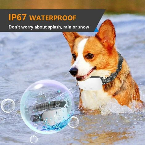 Collare Per Cani LITZEE, Collare Di Addestramento Automatico Con Modalità Rumore / Vibrazione / Urti, 5 Livelli Di Sensibilità, Ricaricabile E Impermeabile Per Cani Di Diverse Dimensioni (nero) 7 Collare Per Cani LITZEE, Collare Di Addestramento Automatico Con Modalità Rumore / Vibrazione / Urti, 5 Livelli Di Sensibilità, Ricaricabile E Impermeabile Per Cani Di Diverse Dimensioni (nero) - immagine 5