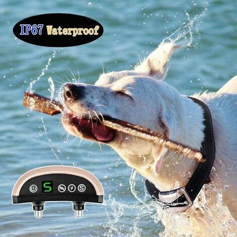 Collar De Control Para Perros LITZEE, Collar De Entrenamiento Automático Con Modos De Ruido / Vibración / Choque, 7 Niveles De Sensibilidad, Recargable E Impermeable Para Perros Pequeños, Medianos Y Grandes Azul 4 Collar De Control Para Perros LITZEE, Collar De Entrenamiento Automático Con Modos De Ruido / Vibración / Choque, 7 Niveles De Sensibilidad, Recargable E Impermeable Para Perros Pequeños, Medianos Y Grandes Azul - immagine 2