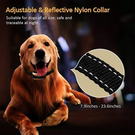 Collar De Control Para Perros LITZEE, Collar De Entrenamiento Automático Con Modos De Ruido / Vibración / Choque, 7 Niveles De Sensibilidad, Recargable E Impermeable Para Perros Pequeños, Medianos Y Grandes Azul 5 Collar De Control Para Perros LITZEE, Collar De Entrenamiento Automático Con Modos De Ruido / Vibración / Choque, 7 Niveles De Sensibilidad, Recargable E Impermeable Para Perros Pequeños, Medianos Y Grandes Azul - immagine 3