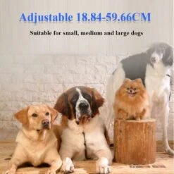 Collare Per Cani Automatico LITZEE, Collare Di Addestramento Per Cani Ricaricabile Modalità Vibrazione E Suono Sensibilità Regolabile Per Cani Di Piccola, Media E Grande Taglia Da 7 Kg A 54 Kg -Cibi per cani in Italia 30854892 4