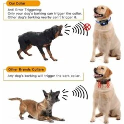 Collare Di Controllo Per Cani LITZEE, Collare Di Addestramento Automatico Con Modalità Rumore / Vibrazione / Urto, 7 Livelli Di Sensibilità, Ricaricabile E Impermeabile Per Cani Di Piccola, Media E Gr -Cibi per cani in Italia 30854923 4