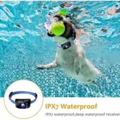 Collare Di Controllo Per Cani LITZEE, Collare Di Addestramento Automatico Con Modalità Rumore / Vibrazione / Urto, 7 Livelli Di Sensibilità, Ricaricabile E Impermeabile Per Cani Di Piccola, Media E Gr -Cibi per cani in Italia 30854923 5