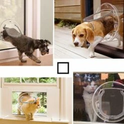 Porta Per Gatti Porta Per Gatti A 4 Vie Porta Per Animali Domestici Per Cani Di Piccola Taglia Facile Installazione -Cibi per cani in Italia 30855061 3