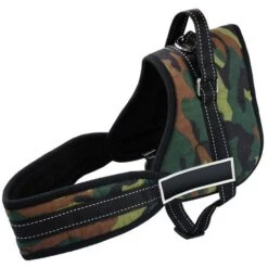 950 Pettorina Di Addestramento Imbottita Per Cani Regolabile Sport Guinzaglio Taglia: S - Colore: Militare