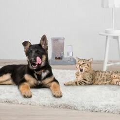 Relaxdays Distributore Automatico Di Acqua & Cibo, 2 In 1, Per Cani & Gatti, Bottiglia, 4 L, Plastica, Grigio Scuro -Cibi per cani in Italia 31794906 5