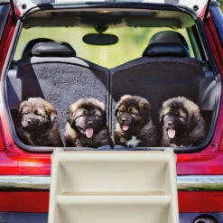 Relaxdays Scaletta A 4 Gradini, Per Cani Piccoli & Grandi, Letto & Divano, Auto, Rampa, Max.100 Kg, HLP 49x39x61, Grigio -Cibi per cani in Italia 33295326 2