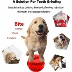 Palla Giocattolo Per Cani, Resistente Ai Morsi Non Tossici Per Cani - Rossa 11 Palla Giocattolo Per Cani, Resistente Ai Morsi Non Tossici Per Cani - Rossa -Cibi per cani in Italia 33379267 5