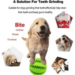 Pelota De Juguete Para Perros LITZEE, No Tóxica, Resistente A Las Mordeduras Para Perros Verde -Cibi per cani in Italia 33379275 4