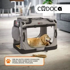 CADOCA Box Per Il Trasporto Di Cani Gatti Trasportino Per Animali Per Auto Grigio Diverse Grandezze M - Grau (de) -Cibi per cani in Italia 33410704 3