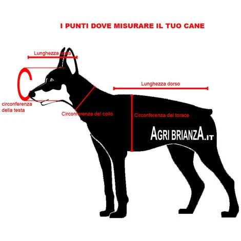 Collare CONVENIENCE 40 Rosa Fluo Hunter 63132 4 Collare CONVENIENCE 40 Rosa Fluo Hunter 63132 - immagine 2