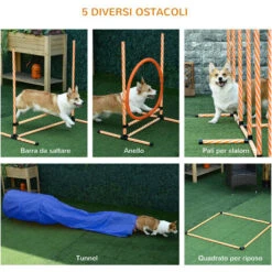 PawHut Attrezzi Agility Dog Set Percorso Completo 5 Pezzi Slalom, Ostacolo E Tunnel, Arancione -Cibi per cani in Italia 33882300 4