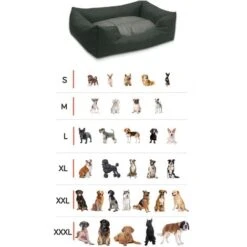 BedDog® MIMI Letto Per Cane/gatto Cuccia, Cuscino, Divano, Cestino Per Cane:S, SAND-DOG (marrone/beige) 8 BedDog® MIMI Letto Per Cane/gatto Cuccia, Cuscino, Divano, Cestino Per Cane:S, SAND-DOG (marrone/beige) -Cibi per cani in Italia 34194333 2