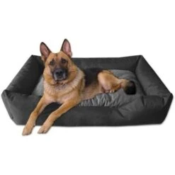 BedDog® MIMI Letto Per Cane/gatto Cuccia, Cuscino, Divano, Cestino Per Cane:S, SAND-DOG (marrone/beige) 10 BedDog® MIMI Letto Per Cane/gatto Cuccia, Cuscino, Divano, Cestino Per Cane:S, SAND-DOG (marrone/beige) -Cibi per cani in Italia 34194333 4
