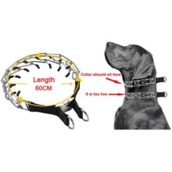 Collare Da Addestramento Per Cani, Maglie Regolabili In Acciaio Inossidabile Con Punte In Gomma Comfort, Fibbia In Metallo A Sgancio Rapido Ad Alta Resistenza, Per Cani Di Taglia Piccola Medio-grande -Cibi per cani in Italia 34201723 5