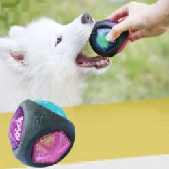 Palla Giocattolo Per Cani Con Luce LED E Squeaker, Palline Per Cani, Giocattolo Per Cani, Palla Da Gioco Per Cani, Bagliore In Colori Cangianti, Realizzata In Gomma Termoplastica -Cibi per cani in Italia 34201925 3