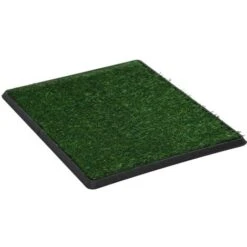 Nova Tappetino Igienico Cani Con Erba Sintetica Verde WC Varie Dimensioni Dimensioni : 64x51x3 Cm