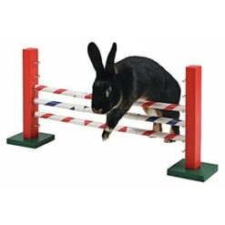 Kerbl Agility - Salti Verticale 70 X 5 X 35 Cm -Cibi per cani in Italia 35163874 4