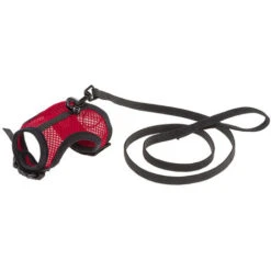Ferplast JOGGING M Pettorina Per Porcellini D'India. Variante JOGGING M - Misure: A: 12-16 Cm B: 18-23 Cm 10 Mm - Colori Misti -Cibi per cani in Italia 35334640 3