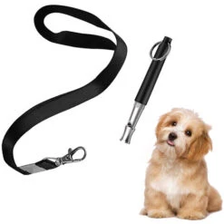 Fischietto Per Smettere Di Abbaiare - Controllo Silenzioso Del Cane Che Abbaia - Repellente Repellente Per Pattuglia Ad Ultrasuoni - Fischietto Deterrente Per L'addestramento D'argento - Addestra Il T