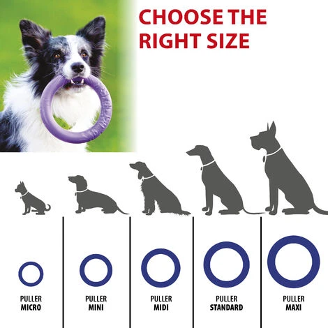 Ferplast PULLER MICRO Gioco Interattivo Per Cani Molto Piccoli E Cuccioli, Robusto E Atossico. Set 2 Anelli. . Variante PULLER MICRO - Misure: Ø 12.3 X 3 Cm - Viola 4 Ferplast PULLER MICRO Gioco Interattivo Per Cani Molto Piccoli E Cuccioli, Robusto E Atossico. Set 2 Anelli. . Variante PULLER MICRO - Misure: Ø 12.3 X 3 Cm - Viola - immagine 2