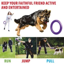 Ferplast PULLER MICRO Gioco Interattivo Per Cani Molto Piccoli E Cuccioli, Robusto E Atossico. Set 2 Anelli. . Variante PULLER MICRO - Misure: Ø 12.3 X 3 Cm - Viola 10 Ferplast PULLER MICRO Gioco Interattivo Per Cani Molto Piccoli E Cuccioli, Robusto E Atossico. Set 2 Anelli. . Variante PULLER MICRO - Misure: Ø 12.3 X 3 Cm - Viola -Cibi per cani in Italia 35648648 4