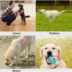 SOEKAVIA Giocattoli Per Cani Palla - Palla Per Cibo Per Cani, Palla Per Tazza Per Cani, Giocattolo Da Masticare, Palla Per Cani Giocattolo Per Animali Domestici (blu) -Cibi per cani in Italia 35905400 5