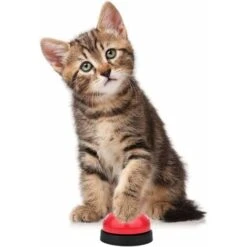 SOEKAVIA Campanello Per Cani, Campanelli Per Cani In Metallo Confezione Da 2 Con Base In Gomma Antiscivolo Campanello Per Cani Per Anello Per Vasino Training -Cibi per cani in Italia 36004337 3