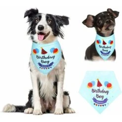 SOEKAVIA Compleanno Gatto Cane Bandane, Bavaglini Triangolari In Cotone Con Colletto, Sciarpa Regolabile, Lavabile E Reversibile, Accessori Per Costumi Per Animali Domestici 8 SOEKAVIA Compleanno Gatto Cane Bandane, Bavaglini Triangolari In Cotone Con Colletto, Sciarpa Regolabile, Lavabile E Reversibile, Accessori Per Costumi Per Animali Domestici -Cibi per cani in Italia 36224021 2