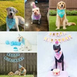 SOEKAVIA Compleanno Gatto Cane Bandane, Bavaglini Triangolari In Cotone Con Colletto, Sciarpa Regolabile, Lavabile E Reversibile, Accessori Per Costumi Per Animali Domestici 11 SOEKAVIA Compleanno Gatto Cane Bandane, Bavaglini Triangolari In Cotone Con Colletto, Sciarpa Regolabile, Lavabile E Reversibile, Accessori Per Costumi Per Animali Domestici -Cibi per cani in Italia 36224021 5