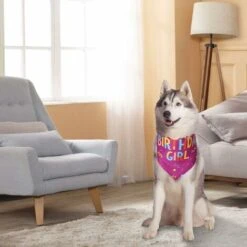 SOEKAVIA Bandana Per Cani Per Compleanno, Sciarpe Per Cani E Gatti Sciarpe Triangolari Regolabili Pettorine Decorative Per Cani Cani Di Taglia Piccola Media (viola) -Cibi per cani in Italia 36224072 5