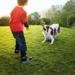 SOEKAVIA 2 Pezzi Grande Palla Giocattolo Per Cane E Gatto, Palle Luminose Per Cani, Palla Gonfiabile A LED Per Animali Domestici Palle Per Gatti Giocattoli Divertenti Per Golden Retriever, Labrador, C -Cibi per cani in Italia 36224176 2