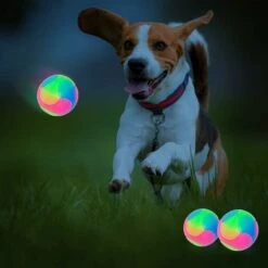 SOEKAVIA 2 Pezzi Grande Palla Giocattolo Per Cane E Gatto, Palle Luminose Per Cani, Palla Gonfiabile A LED Per Animali Domestici Palle Per Gatti Giocattoli Divertenti Per Golden Retriever, Labrador, C -Cibi per cani in Italia 36224176 3