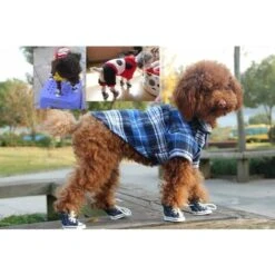 SOEKAVIA Cucciolo Di Cane Da Compagnia Scarpe Sportive Da Esterno In Tela Antiscivolo Scarpe Da Ginnastica Stivali Scarpe Sportive, Suola In Gomma + Tessuto Interno In Cotone Morbido (n. 4) -Cibi per cani in Italia 36224398 5