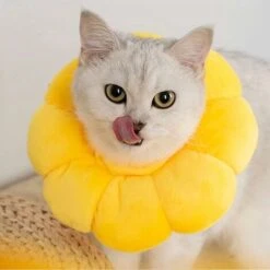 SOEKAVIA Collare Elisabettiano 1 Pezzo, Collare Per Gatti, Traspirante, Bordo Morbido, Collare Protettivo Regolabile, Collare Per Cani Disegnato, Girasole, S. -Cibi per cani in Italia 36224434 3