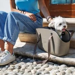 Ferplast WITH ME PRO Borsa Con Rete Protettiva Per Il Trasporto Di Cani Di Piccola Taglia O Coniglietti. Variante WITH-ME PRO - Misure: 21.5 X 43.5 X H 27 Cm - Tortora -Cibi per cani in Italia 36245671 4