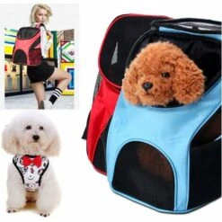 SOEKAVIA Zaino Trasportino Cane Gatto, Borsa A Tracolla Doppia Ventilazione Regolabile A Mani Libere Per Il Trasporto Di Cane Gatto Gatto Gattino Coniglio Escursionismo Escursionismo Viaggio 11 SOEKAVIA Zaino Trasportino Cane Gatto, Borsa A Tracolla Doppia Ventilazione Regolabile A Mani Libere Per Il Trasporto Di Cane Gatto Gatto Gattino Coniglio Escursionismo Escursionismo Viaggio -Cibi per cani in Italia 36247815 5