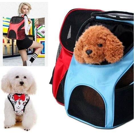 SOEKAVIA Zaino Trasportino Cane Gatto, Borsa A Tracolla Doppia Ventilazione Regolabile A Mani Libere Per Il Trasporto Di Cane Gatto Gatto Gattino Coniglio Escursionismo Escursionismo Viaggio 7 SOEKAVIA Zaino Trasportino Cane Gatto, Borsa A Tracolla Doppia Ventilazione Regolabile A Mani Libere Per Il Trasporto Di Cane Gatto Gatto Gattino Coniglio Escursionismo Escursionismo Viaggio - immagine 5