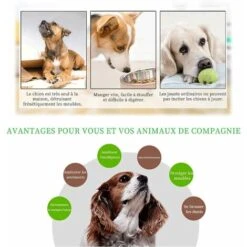 SOEKAVIA Puzzle Per Cani, Distributore Di Cibo Per Cani, Giocattolo Interattivo Per Cani Di Lunga Durata, Giocattolo Per L'addestramento Del Cucciolo IQ (blu) -Cibi per cani in Italia 36248706 2