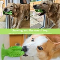 SOEKAVIA Spazzolino Da Denti Per Cani, Giocattolo Da Masticare Interattivo, Spazzolino Da Denti Per Cani In Gomma Naturale Rimuove In Modo Sicuro L'alitosi -Cibi per cani in Italia 36373521 5