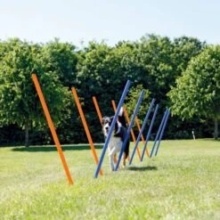Pali Per Agility Slalom 12 Pz 115 Cm In Plastica 3206 TRIXIE