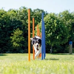 Pali Per Agility Slalom 12 Pz 115 Cm In Plastica 3206 TRIXIE -Cibi per cani in Italia 3663473 3